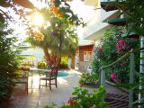 tropical gardens 