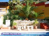 Pool Terrace with Palms