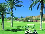 A&ntilde;oreta Golf 