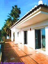 Large Terraces