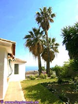 Fantastic Sea View