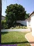 Private Garden 