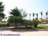 Holiday Rental Torre del Mar Costa del Sol