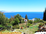 sea views from the villa